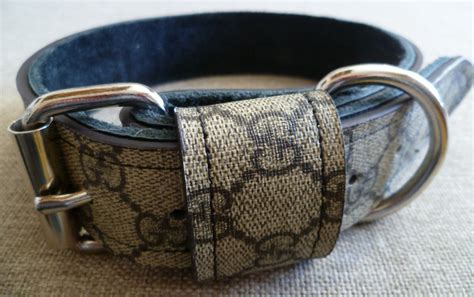 gucci cat collars|Gucci dog collar large.